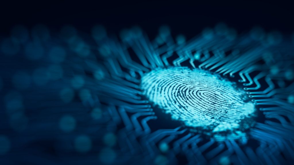 Verificación Biométrica en Identidad Digital