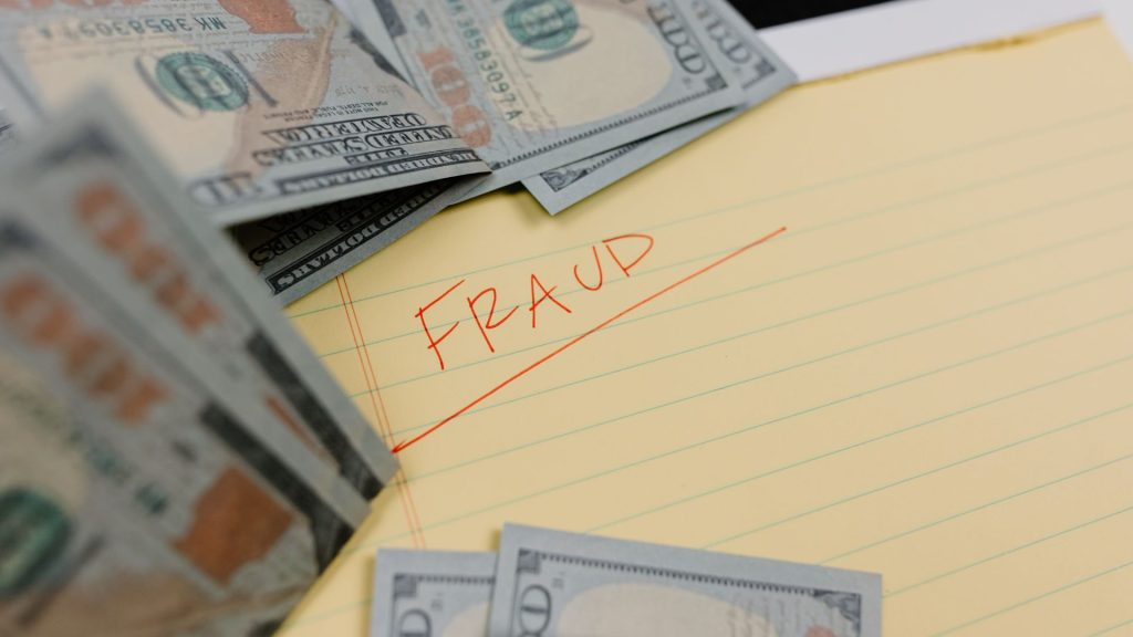Visual Techniques in Fraud Detection