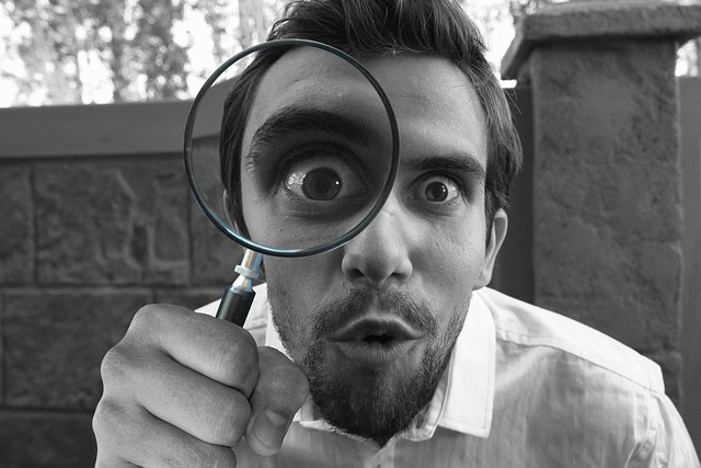 A person seeking supporting evidence to determine if a statement is a fact or an opinion