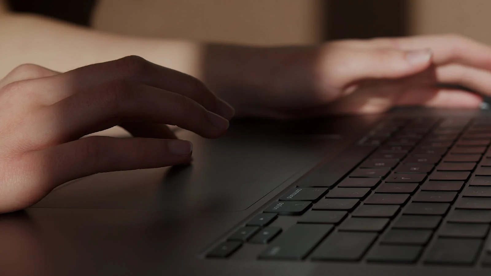 Una persona que usa una computadora portátil para verificar su identidad