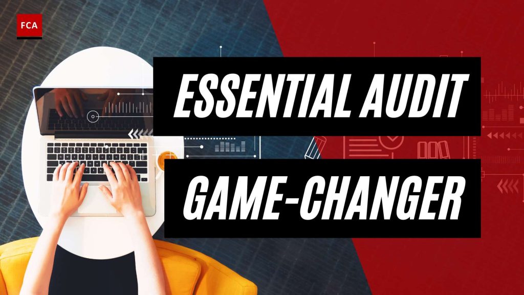 AML Audit Framework Unleashed: Elevating Your AML Compliance Game