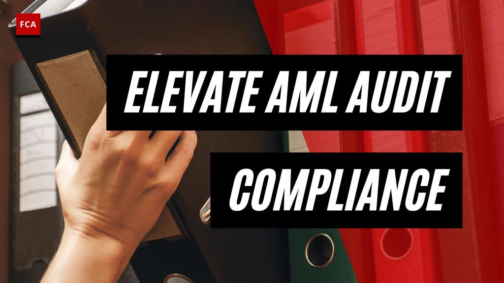 Building Strong Defenses: Navigating the AML Audit Framework