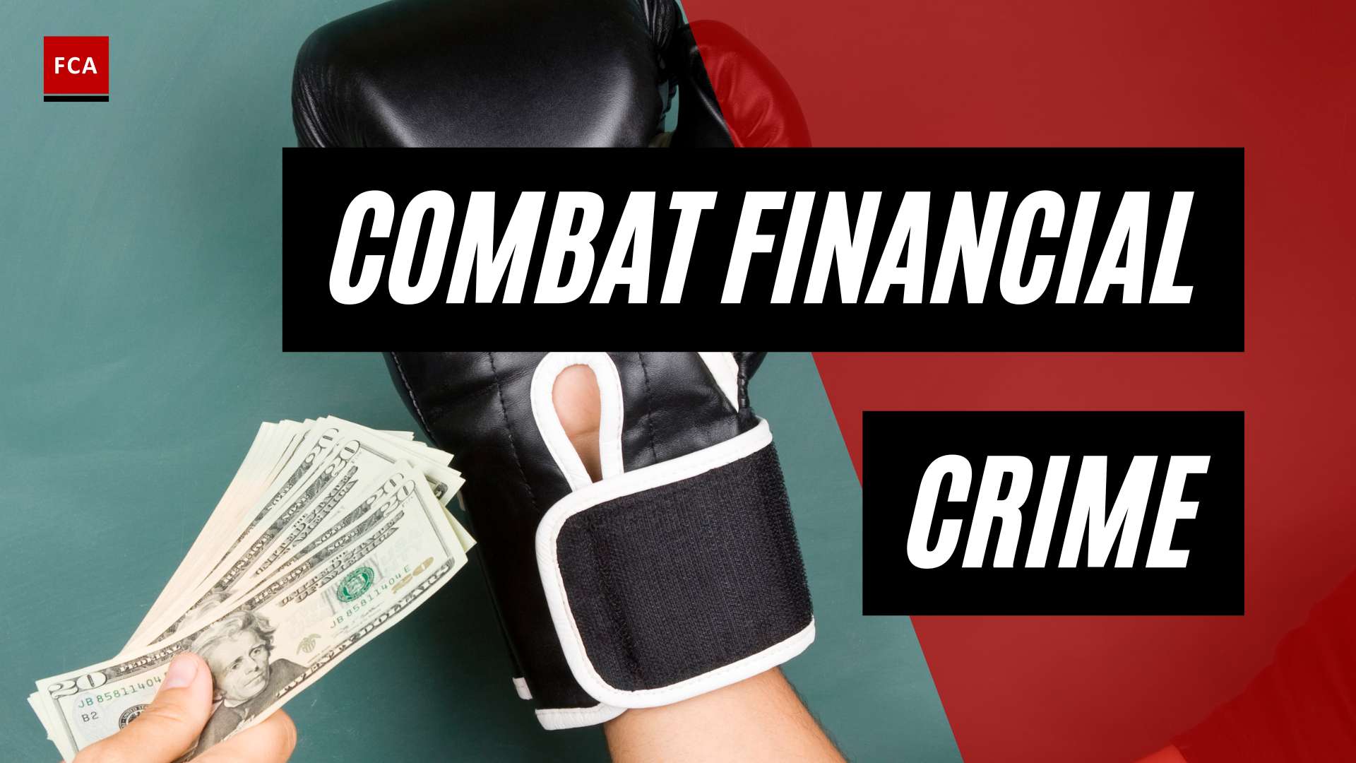 Defending Against Financial Crime: Exploring Transaction Monitoring Tools