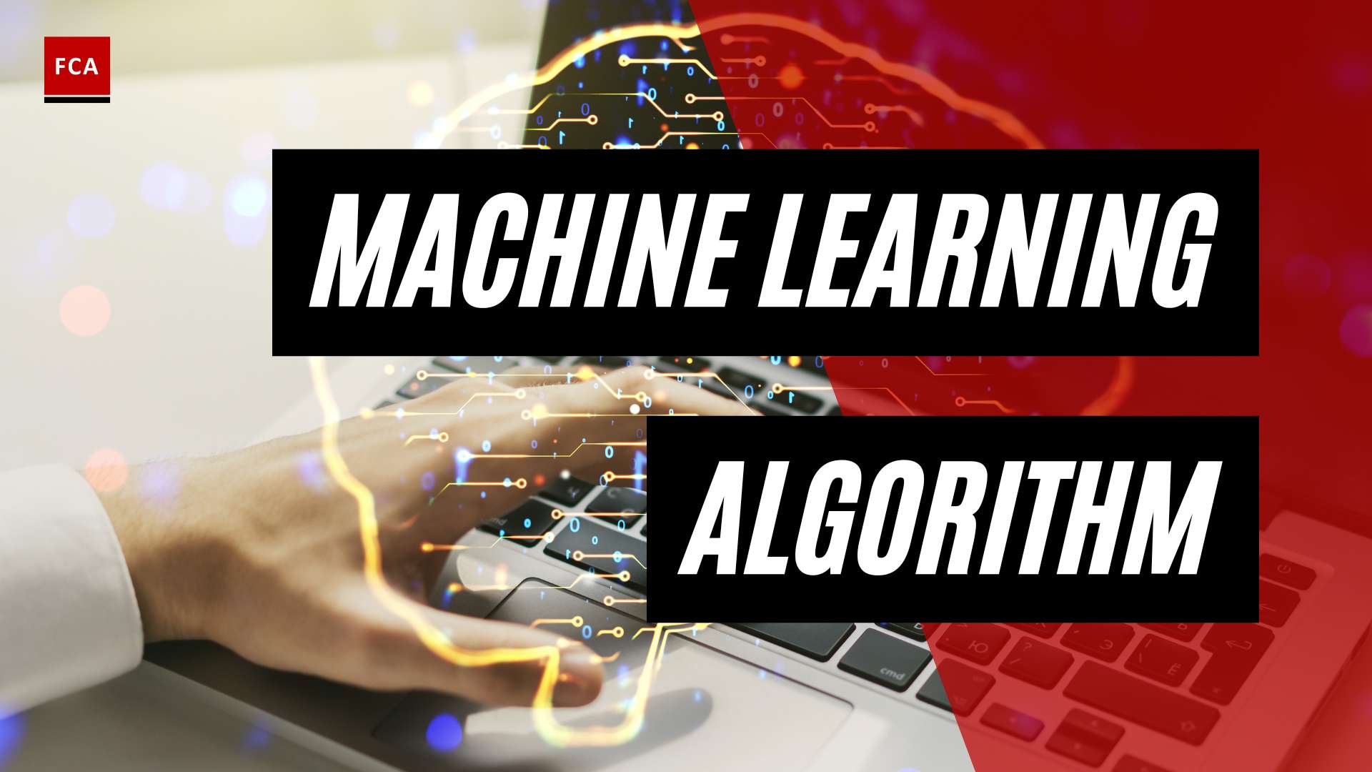 Safeguarding Against Money Laundering: Essential Machine Learning Algorithms for AML
