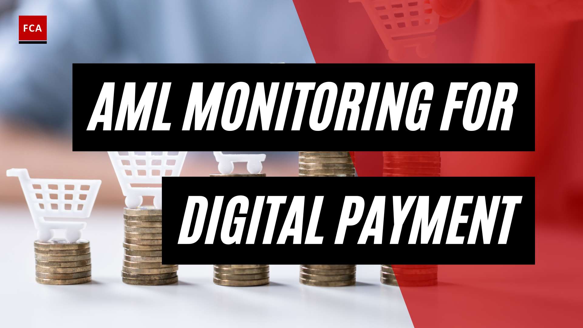Stay One Step Ahead: AML Monitoring for Secure Digital Payments