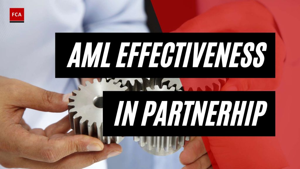 Revolutionizing AML: Uncovering the Effectiveness of Public-Private Partnerships