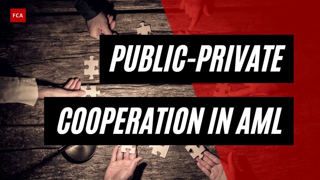 Unveiling the Future: Public-Private Cooperation in AML Investigations