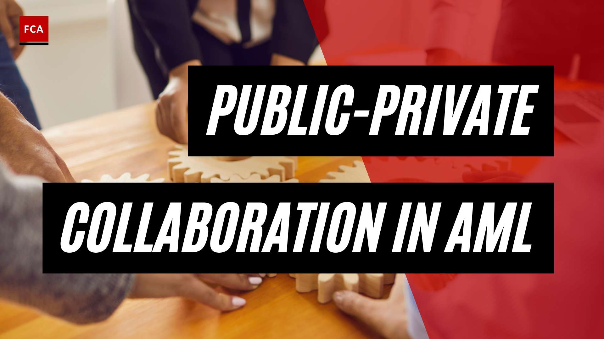Unlocking Success: Public-Private Collaboration Models in AML Revealed