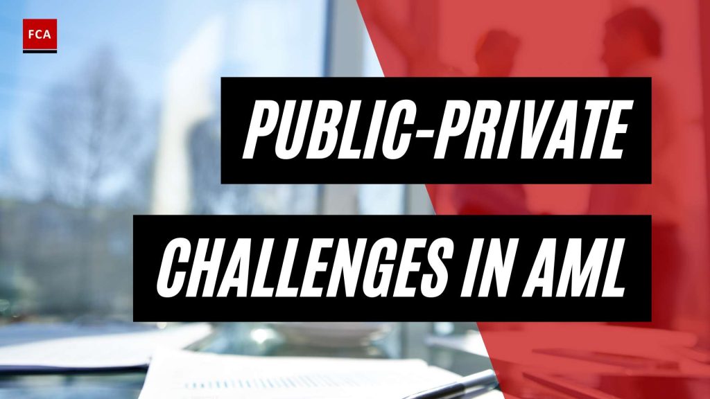 Unleashing Collaboration: The Benefits of Public-Private Partnerships in AML