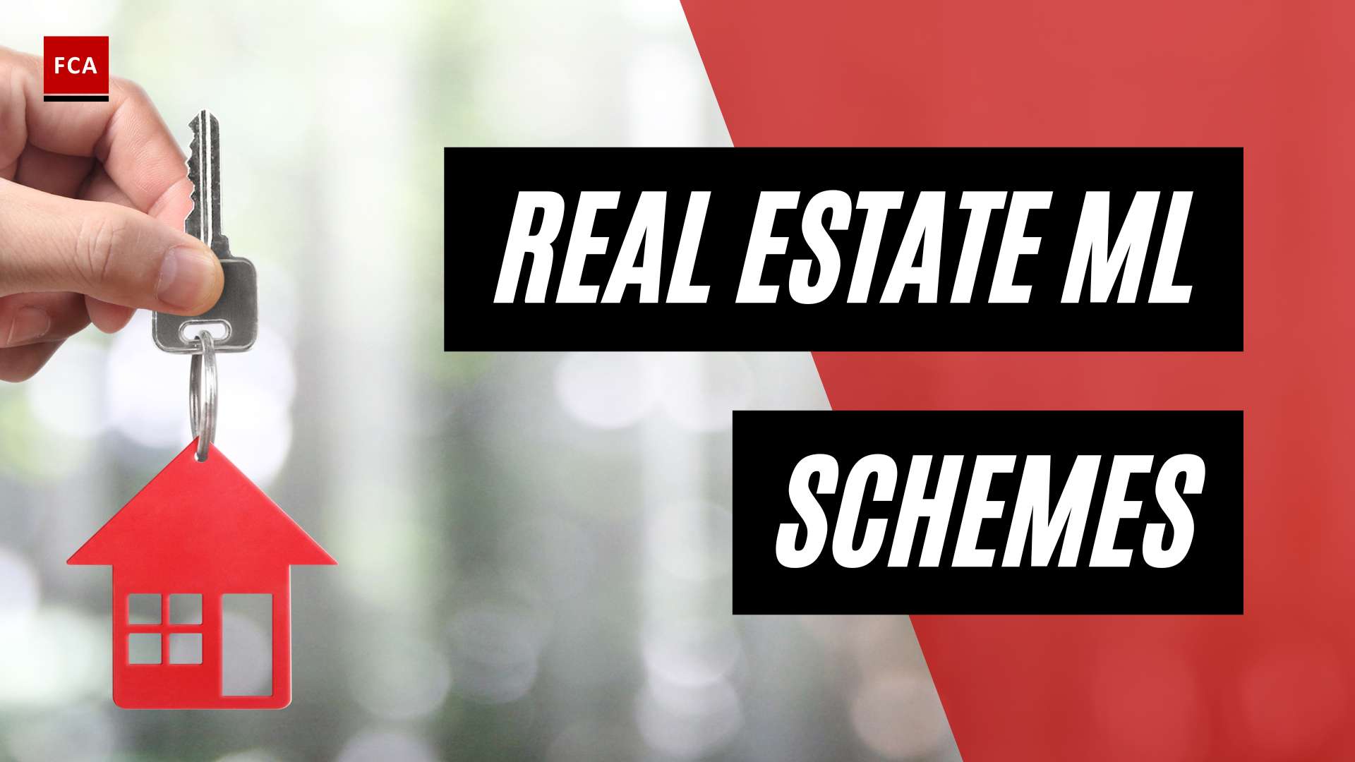 Cracking Down on Illicit Funds: Real Estate Money Laundering Schemes Exposed