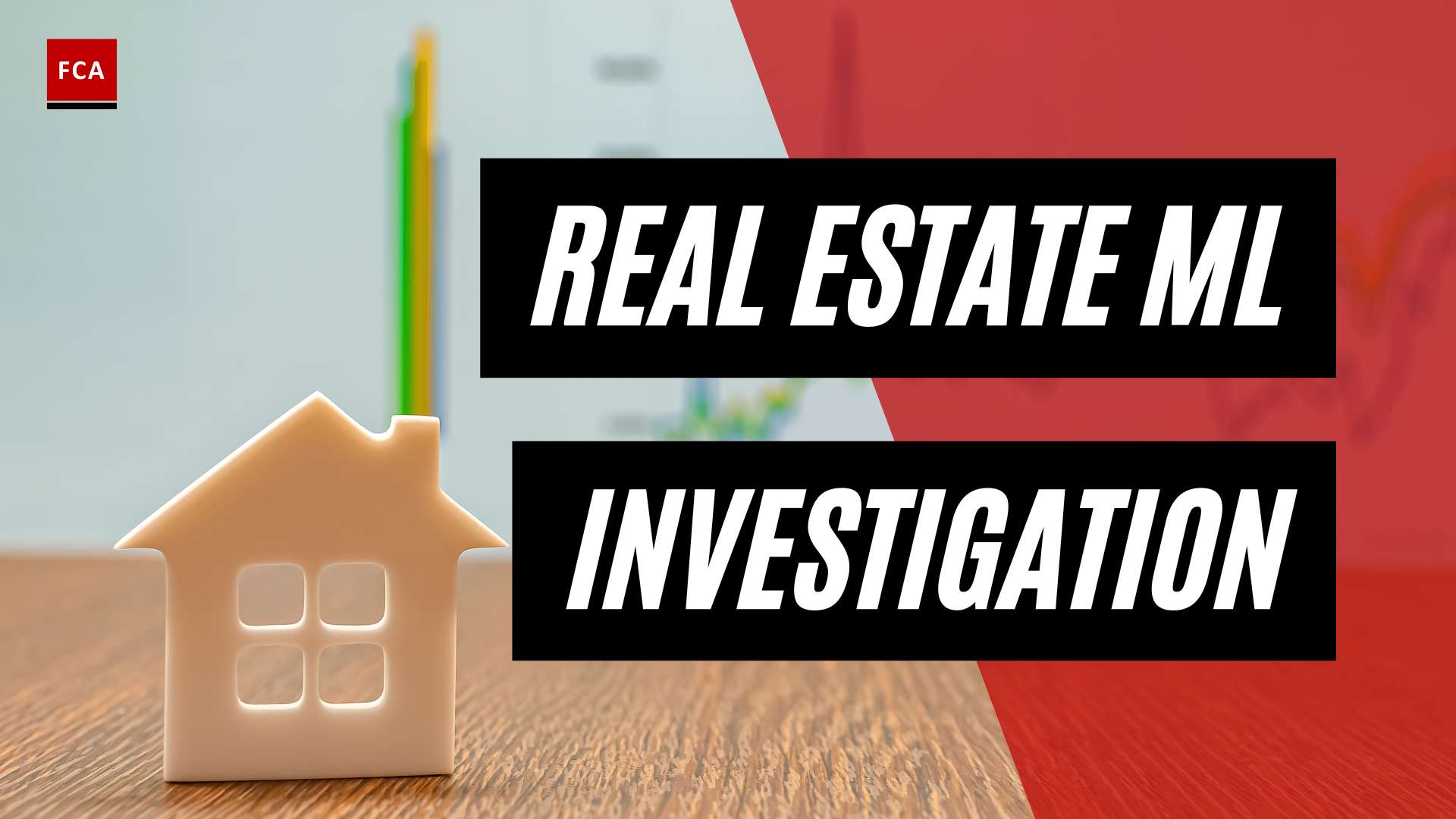 Unmasking the Shadows: Real Estate Money Laundering Investigations