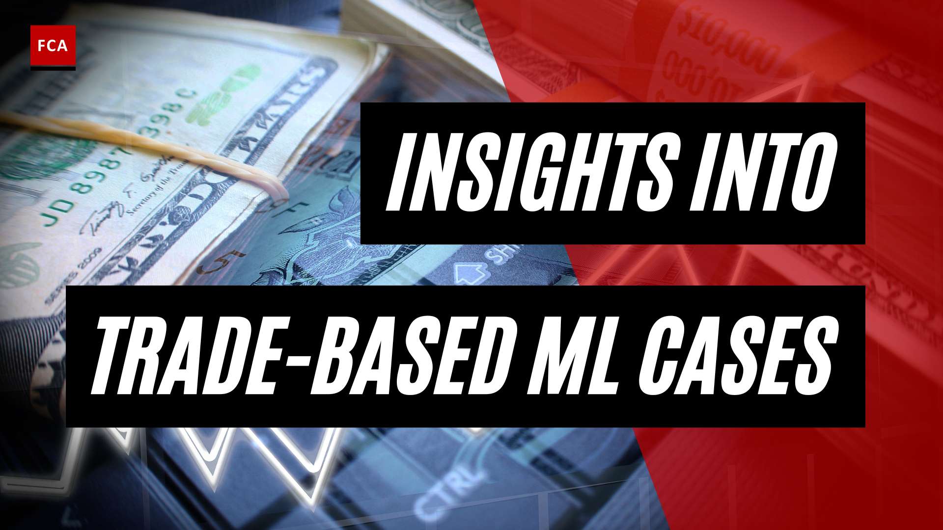 Unveiling the Secrets: Case Studies of Trade-based Money Laundering