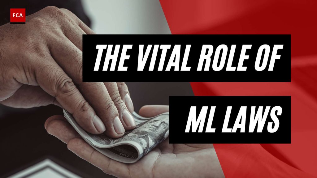 Strengthening Financial Integrity: The Vital Role of Money Laundering Laws