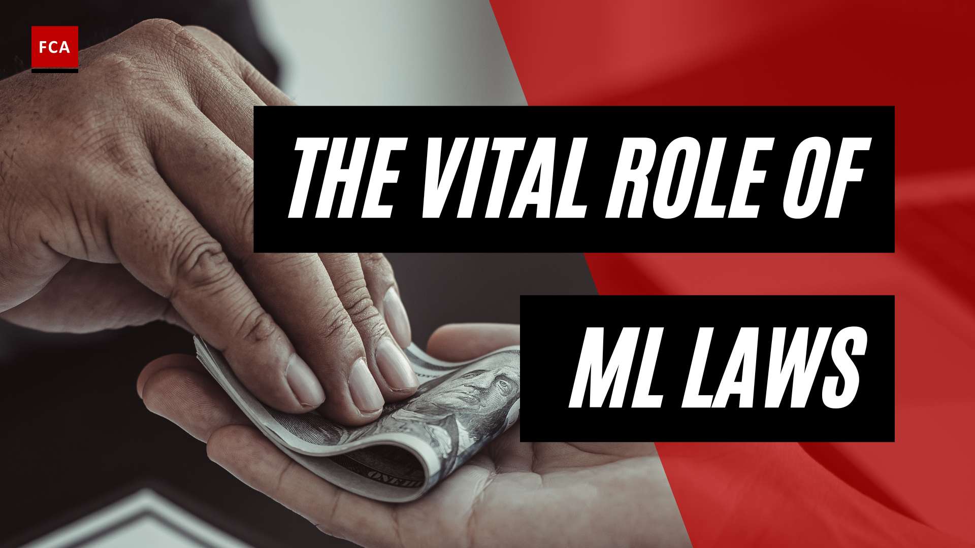 Strengthening Financial Integrity: The Vital Role of Money Laundering Laws