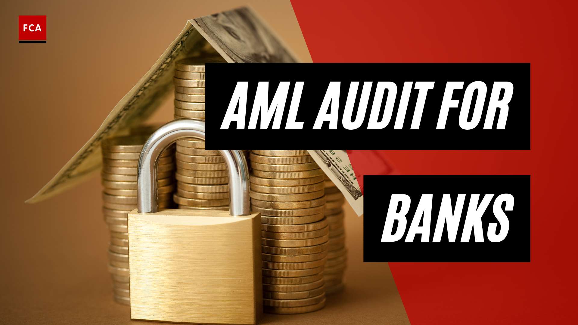 Defending Against Financial Crime: Unveiling the AML Audit for Banks