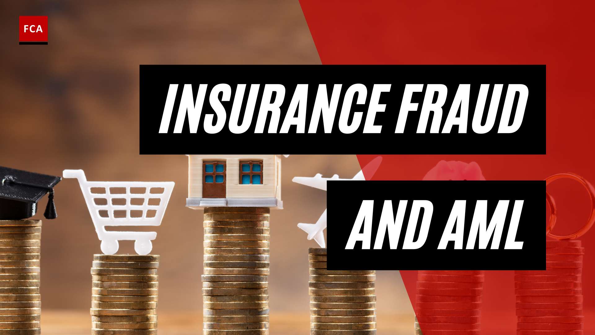 Cracking the Code: Detecting Insurance Fraud and AML Red Flags