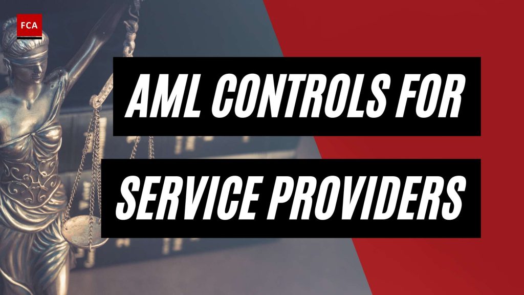Securing Your Reputation: Effective AML Controls for Professional Service Providers