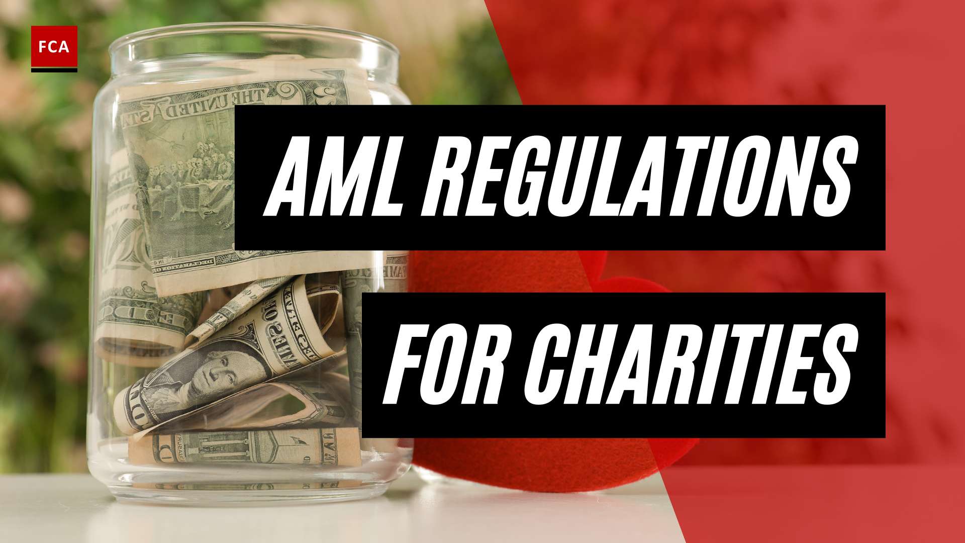 Navigating Compliance: Anti-Money Laundering Guidelines for NGOs