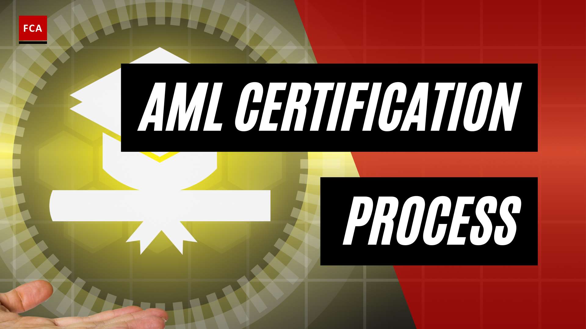 Achieve AML Excellence: Unveiling the Certification Process