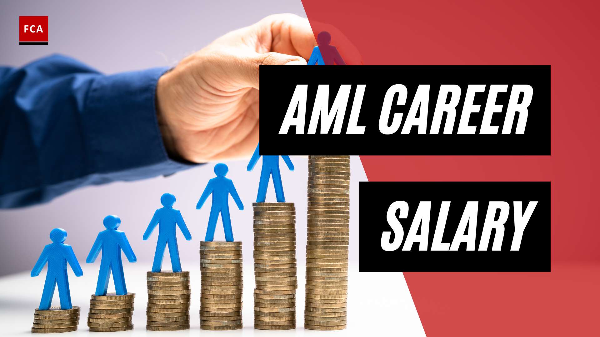 Unveiling the Secrets: AML Career Salary Revealed