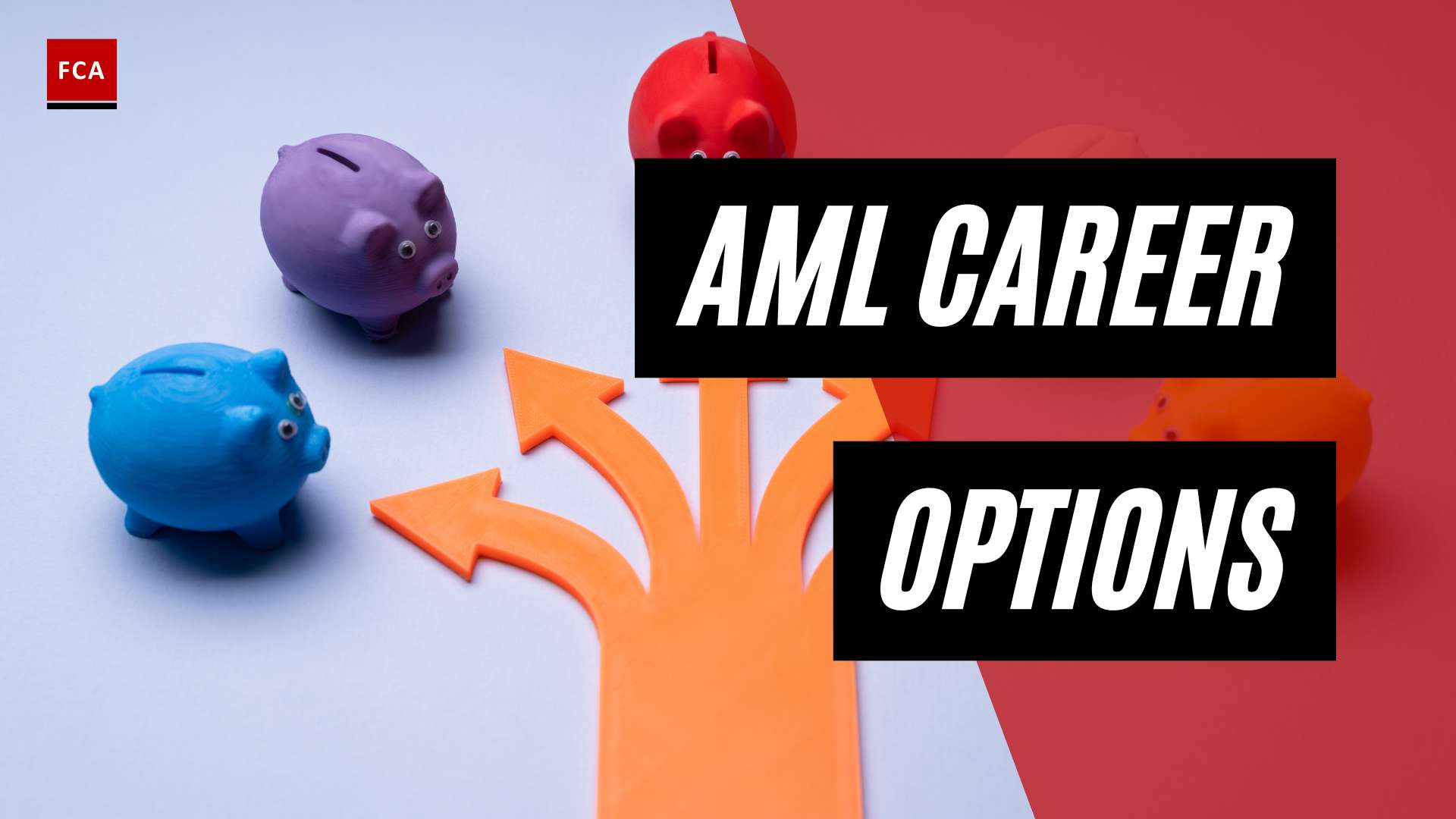 Unleash Your Potential: AML Career Options for Ambitious Individuals