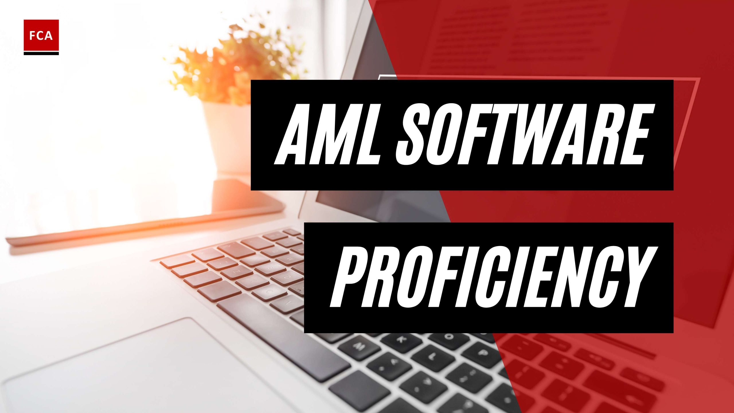 Enhance Your AML Career: Unleashing AML Software Proficiency
